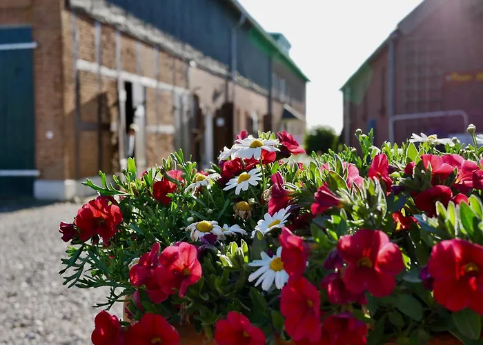 Knusthof - 4 Lägenhet *